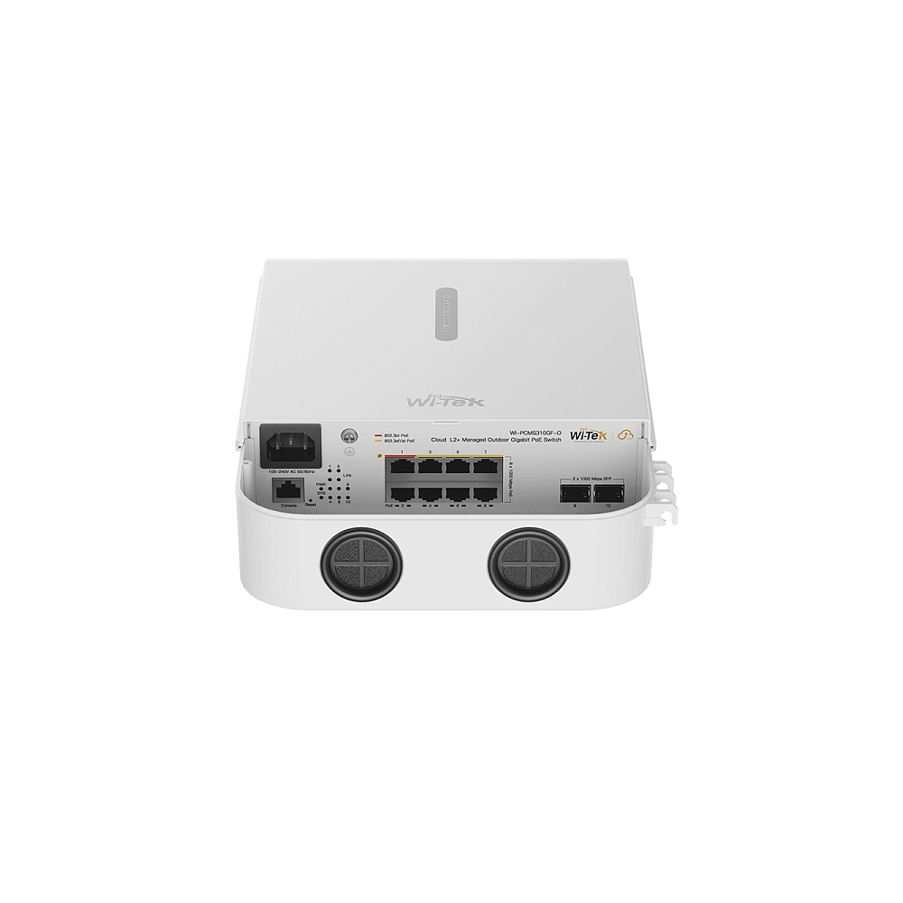 Wi-Tek WI-PCMS310GF-O v2_4