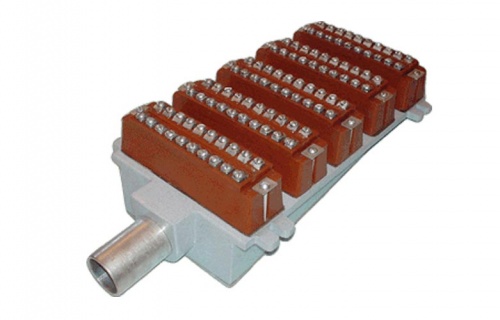 5005