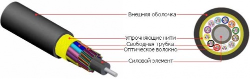 51603 (1)