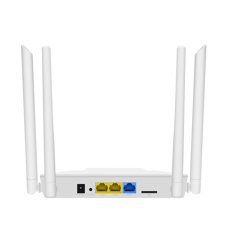 WI-LTE300(V2)_2