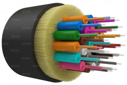 NTSS-FO-D-INOUT-50-24-LSZH