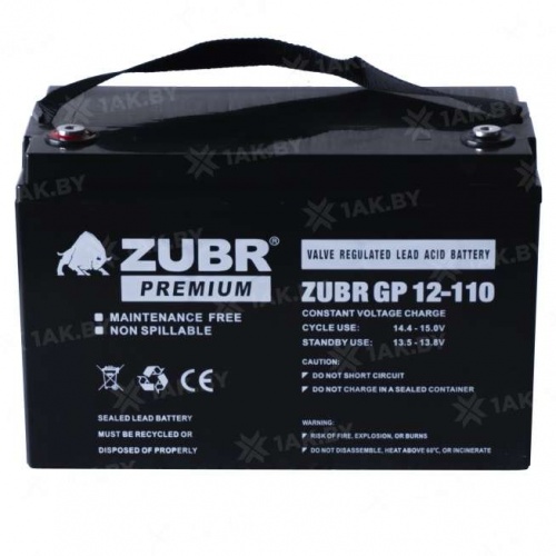 zubr110