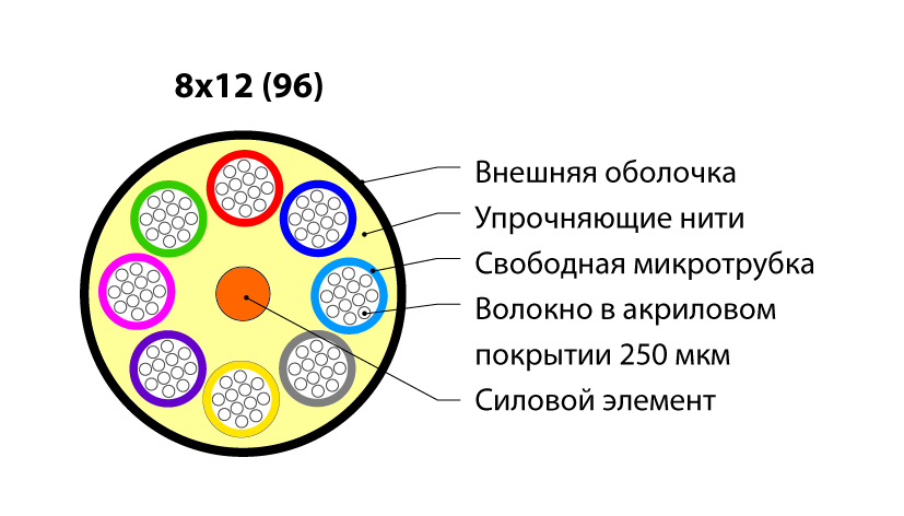 172129