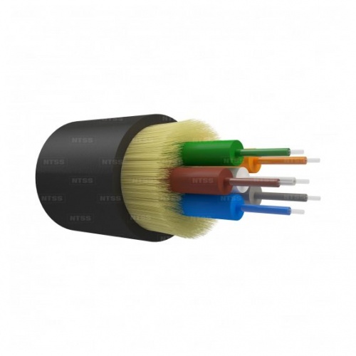 NTSS-FO-D-INOUT-504-6-LSZH