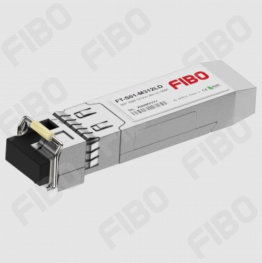 FT-S01-M312LD