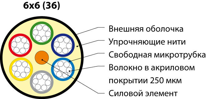 172033