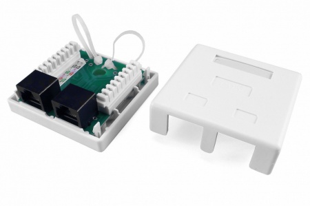 Розетка компьютерная RJ-45(8P8C), категория 6, двойная, внешняя, Dual IDC-0