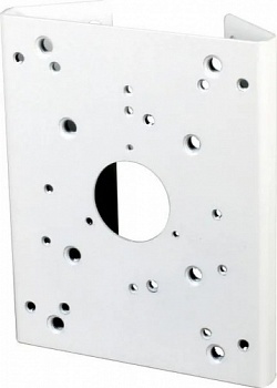 A36