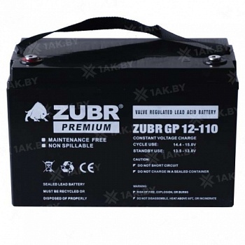 zubr110